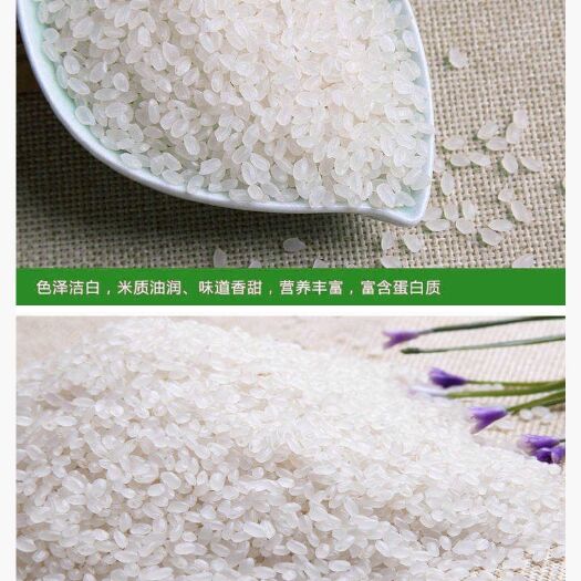 上海 崇明大米   有机   无农药  香米
