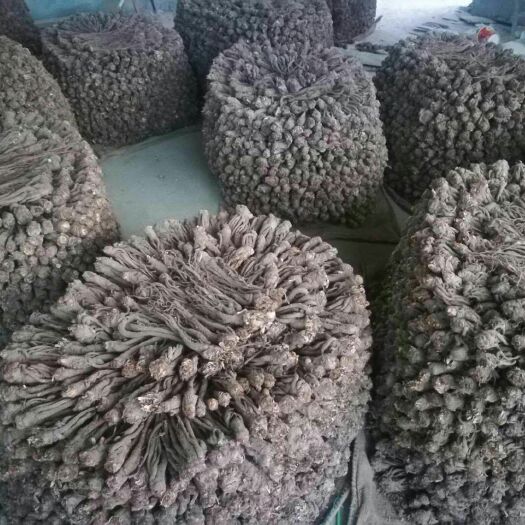 岷县岷当归  农家自产当归，无任何中间商，真正的绿色产品