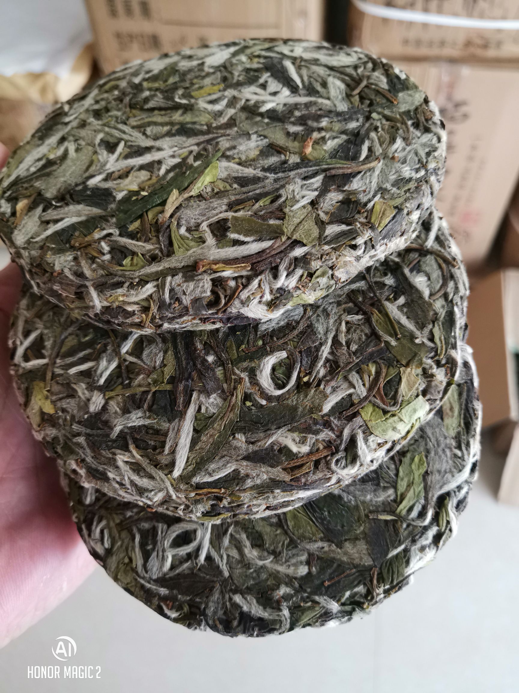 福鼎白茶 2019白牡丹饼100g