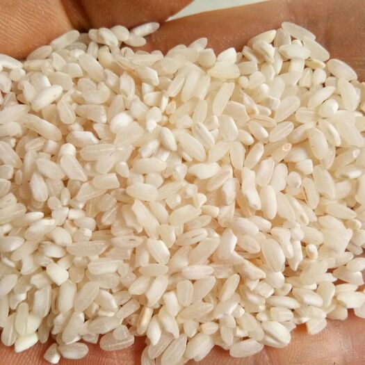 大米  厂家直销桂朝米，是做米皮，米粉，米线，河粉，肠粉的