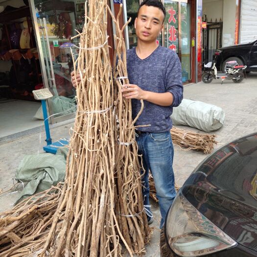 米脂县白皮芪 原芪