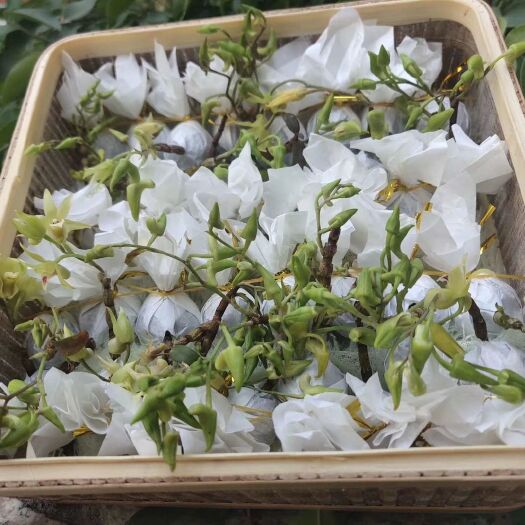 龙陵县茶根