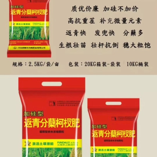 广平县硅肥 水稻返青分蘖柯杈肥，水稻，返青肥，分蘖，柯杈肥