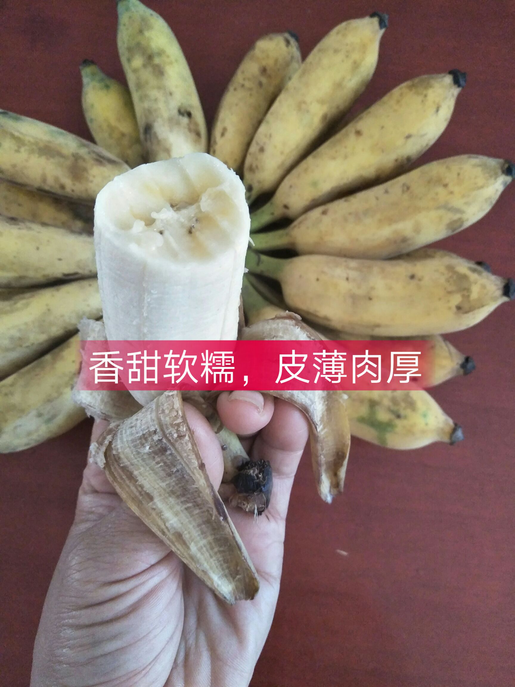南宁香蕉  粉蕉
