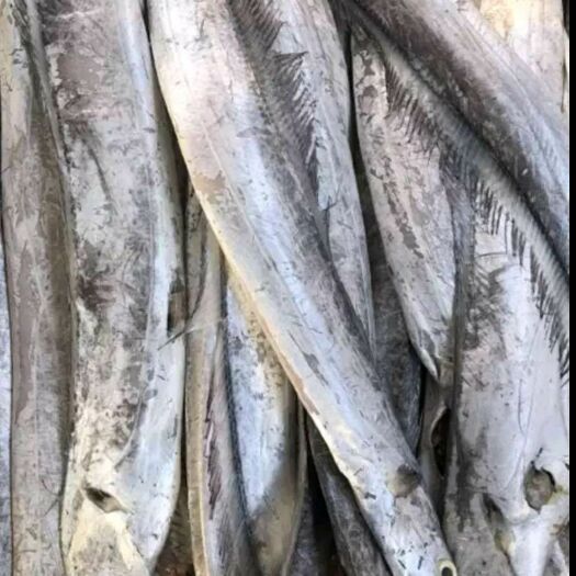 苏州东海带鱼 12.00元/斤，，，，20斤起