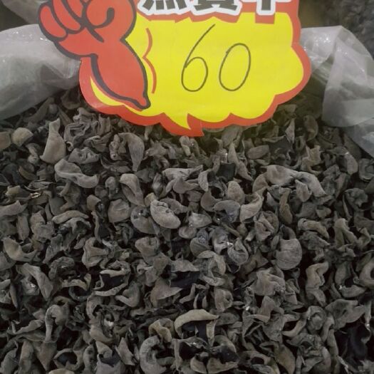 拜泉县 秋木耳
