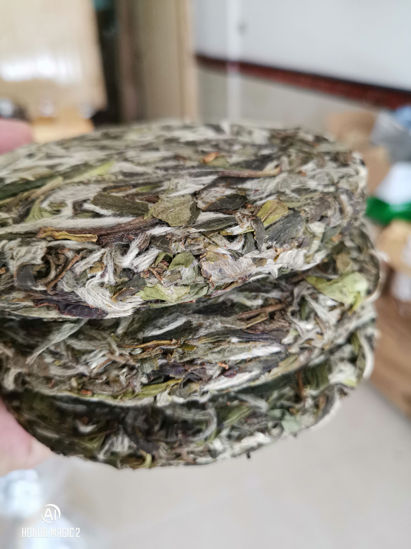 福鼎白茶 2019白牡丹饼100g