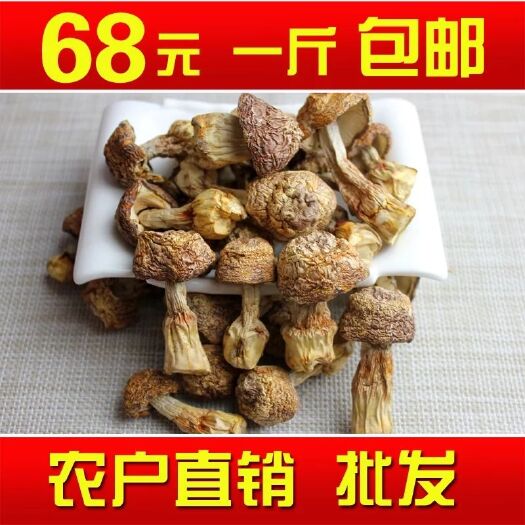 莘县 姬菇姬松茸新货巴西蘑菇干货农家种植产地直销
