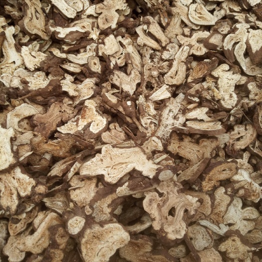 白术片子
