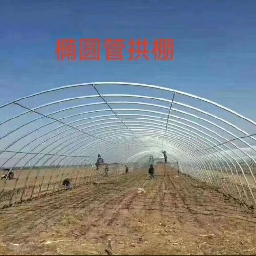 天津不限品种 主要承建春秋冷棚，日光暖棚、养殖大棚！