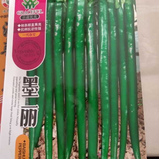 兰陵县线椒种子 优质黑线