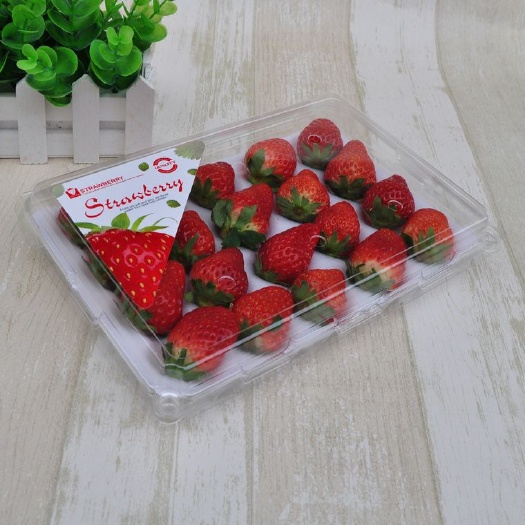 上海 蔬果食品包装盒量大从优