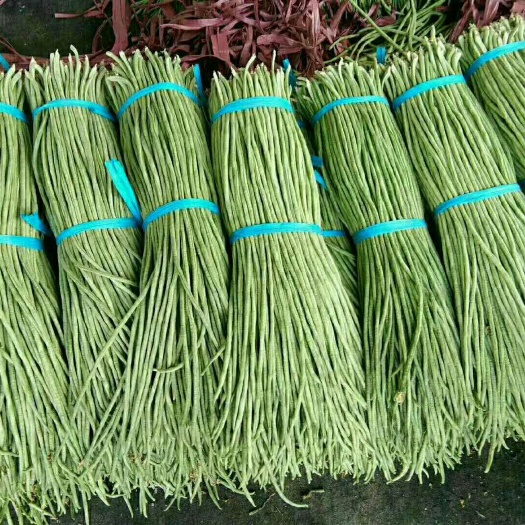 南乐县长豇豆  长豆角，己大量上市，质量好，价格优