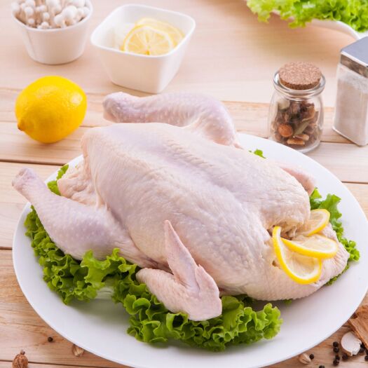 昌乐县 白条鸡/西装鸡