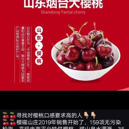 烟台美早樱桃 🍒🍒只做高端精品果  
🍒🍒烟台《樱磁山庄》