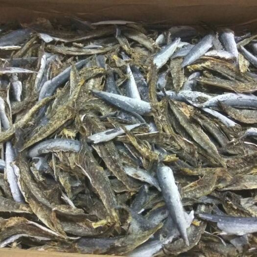 诏安县巴浪鱼干 竹巴肉，全淡口，干度好