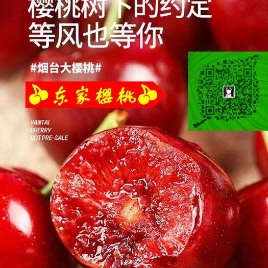 栖霞市 烟台樱桃 拉宾斯