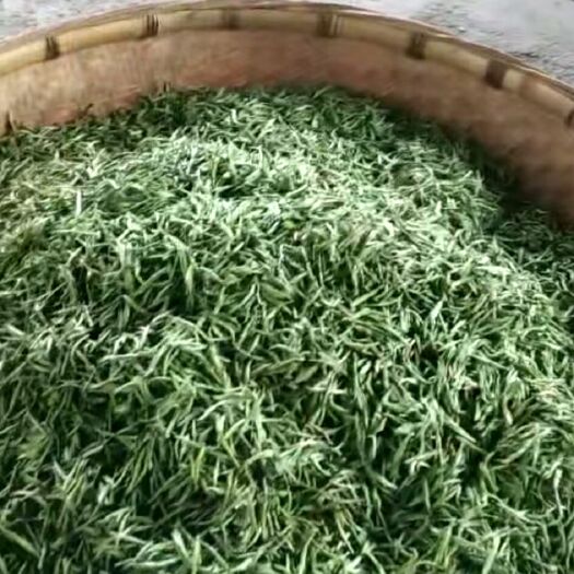 古丈县古丈毛尖产于湘西武陵山区，山高谷深云雾练缭绕自然条件得天独