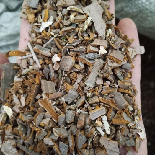 郧西县 鬼箭羽