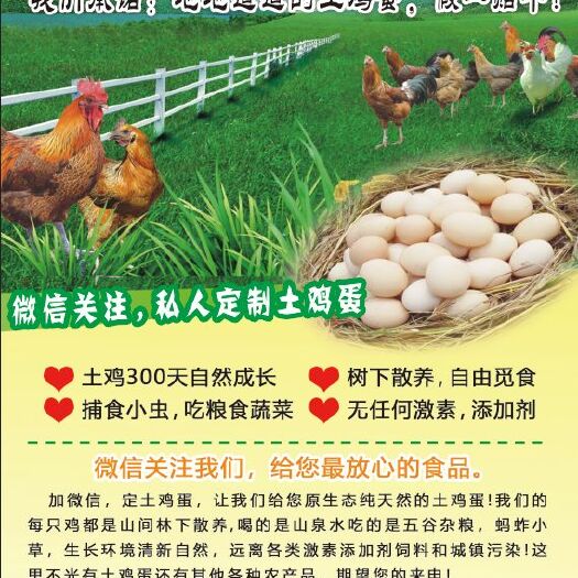 淮北 正宗散养土鸡蛋！假一赔十！