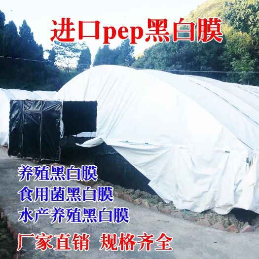 郯城县黑白膜 膜厂家直销