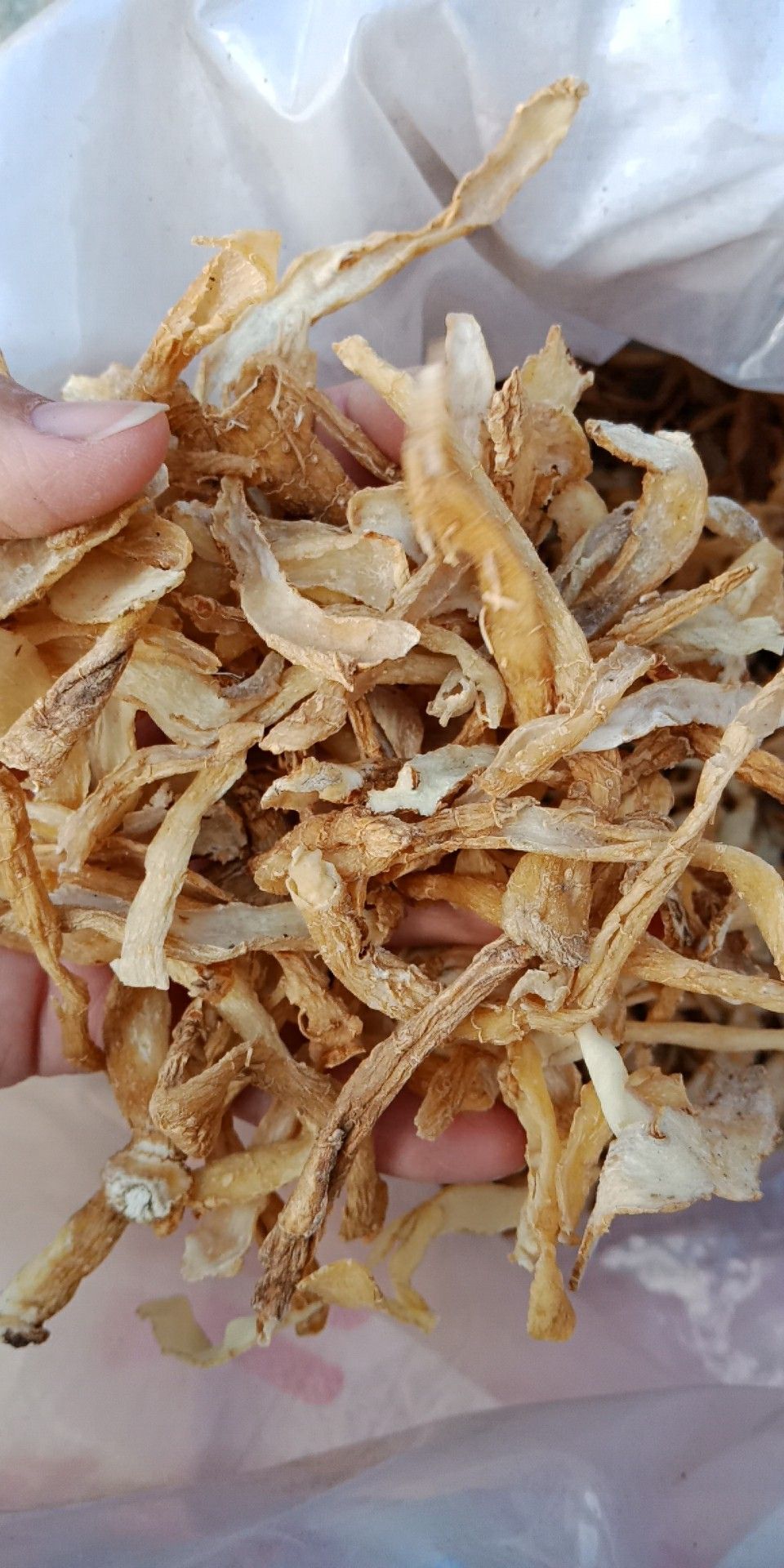 玉竹统货无硫纯肉熬汤炖菜都可以