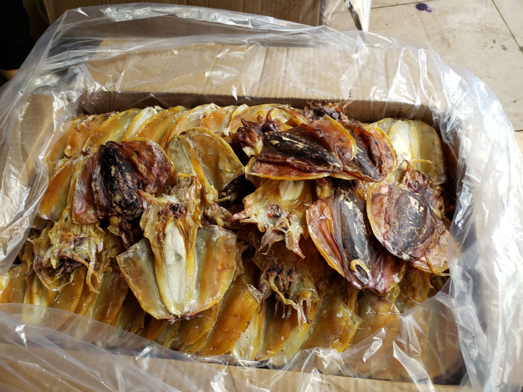 北海墨鱼干 18-22个一斤 淡晒 箱批发