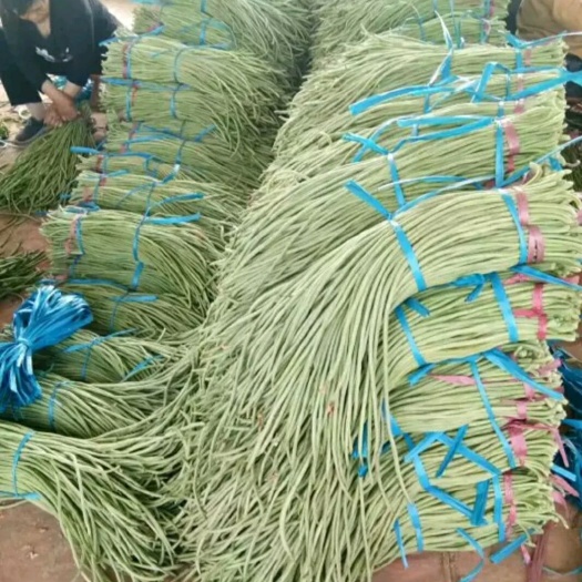莘县长浪豆角 40cm~70cm