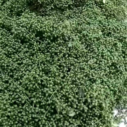 重庆市 一级鲜花椒，价格美丽，质量保证