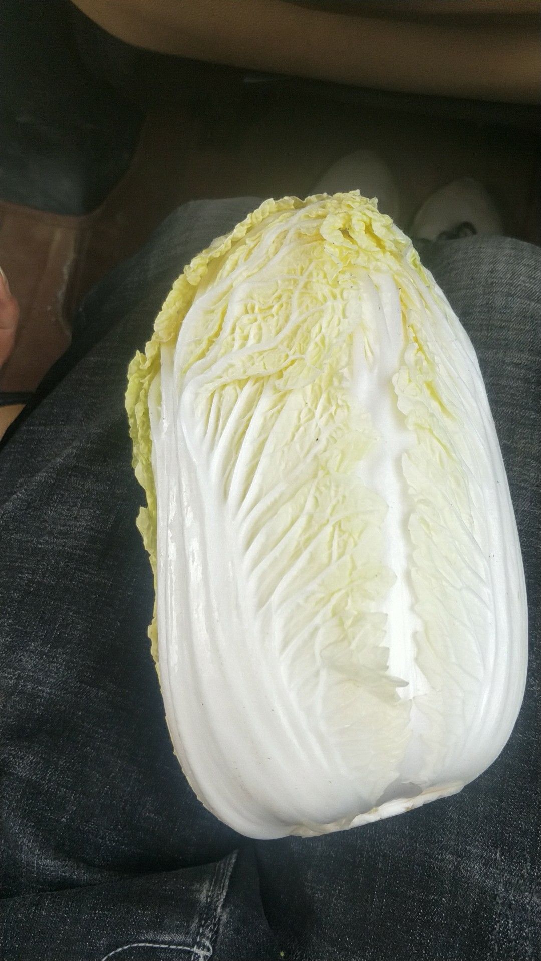 精品高山娃娃菜