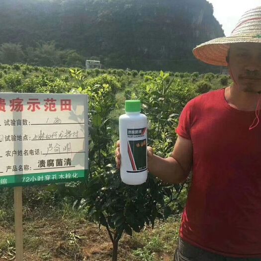 睢县大量元素肥料 溃腐菌清-柑橘溃疡病