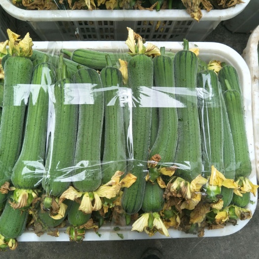 自贡 鲜花丝瓜，精品