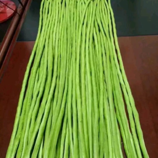 南乐县 河南濮阳南乐县豆角大量上市了