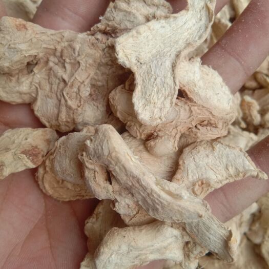 亳州小黄姜干姜片  干姜，姜个，姜片，各种规格