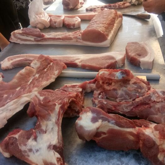 辉南县 本店销售批发牛羊肉。礼品羊。纯小尾寒羊，内蒙古羊家，散养羊。
