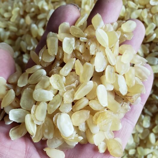 织金县皂角米  高品质，质量保证。
