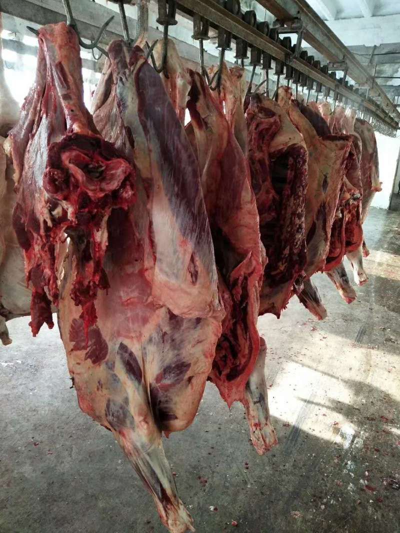 羊肉批发行业的最新动态与发展前景