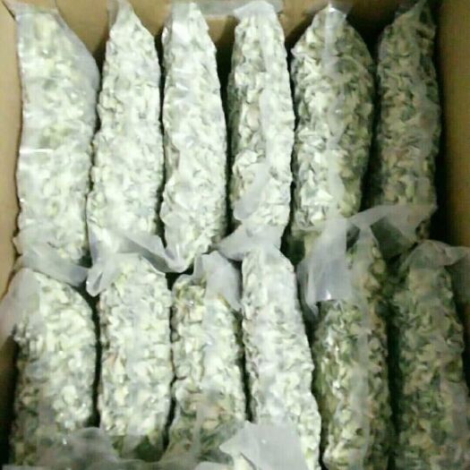 三门峡 保鲜槐花，欢迎大量订购