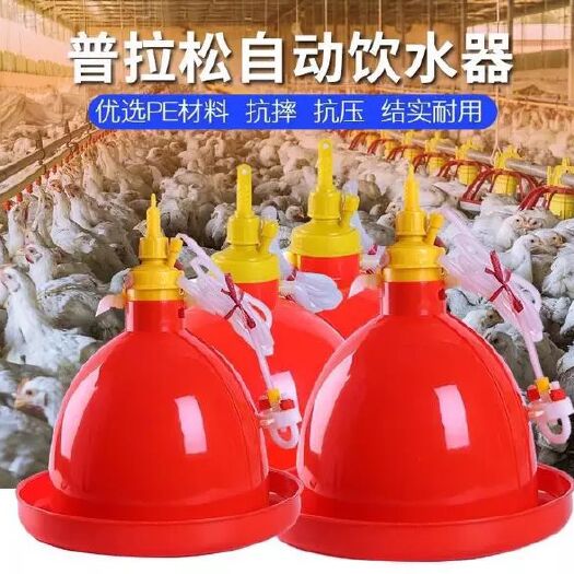 东台市饮水设备 养殖养鸡设备用品普拉松自动饮水器鸡鸭鹅用喂水器鸡场