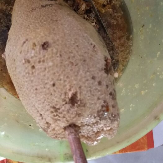 孟连县 野生蜂蜜新货到了