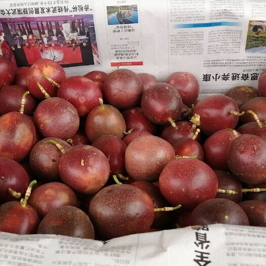 芒市紫色百香果 40 - 50克