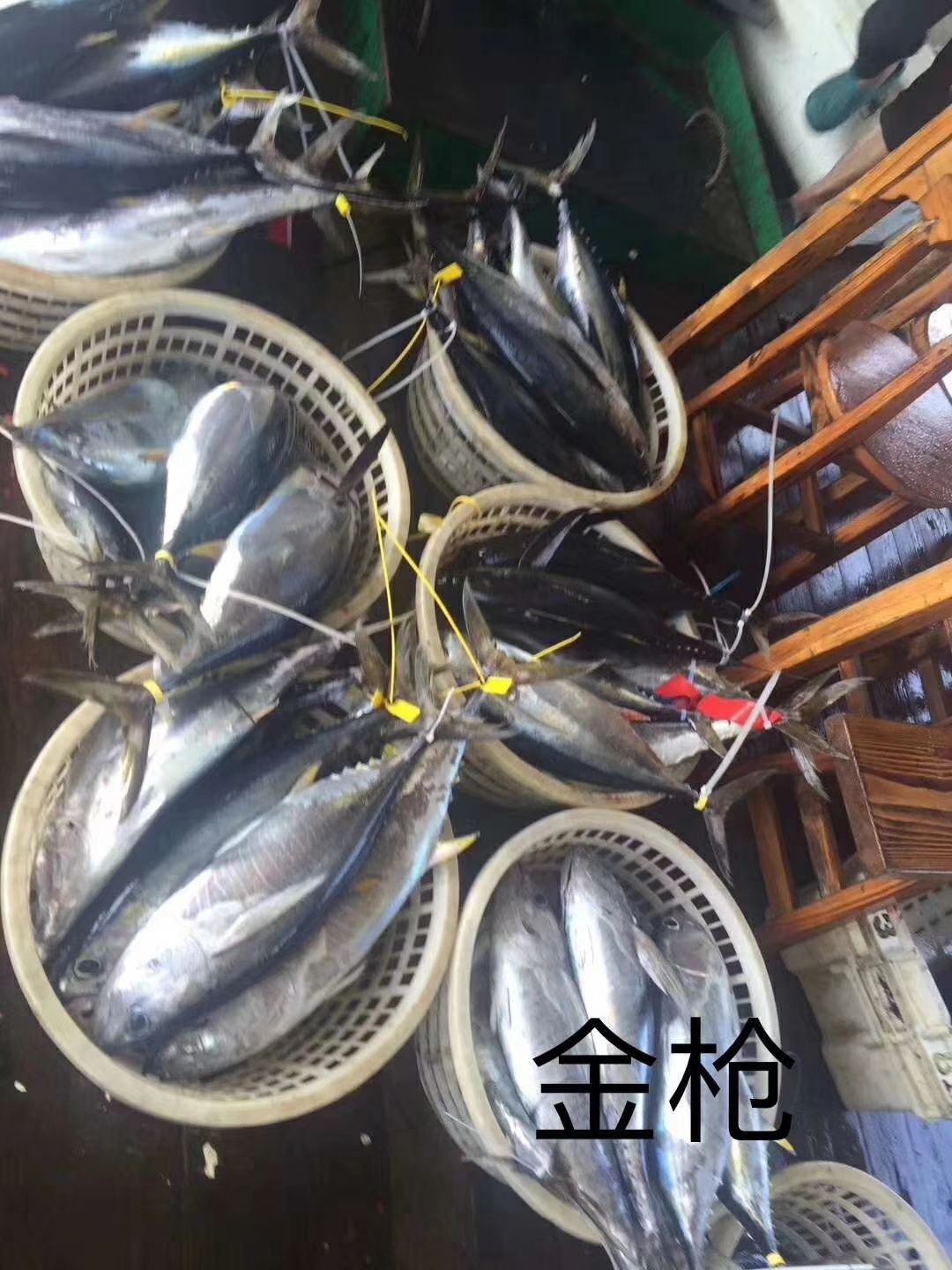 深海海鲜 深海鱼