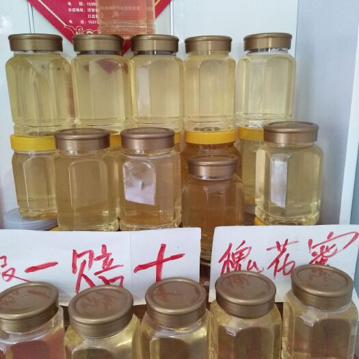 迁安市 大山里自家养的纯蜂蜜，假一赔十