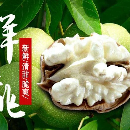 大姚县 云南19年湿核桃，口感香甜果肉饱满，不夹仁