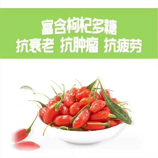 中宁县 宁夏鲜枸杞火热预订 欢迎各大微商，电商平台合作
