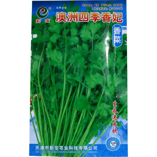 南靖县 香菜种子 大田菜园高产易种香味浓耐湿热长势强香菜种子 蔬菜种