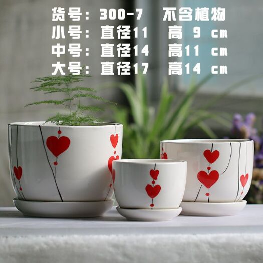  三件套陶瓷花盆中套一箱16套，更多款式联系客服发图片