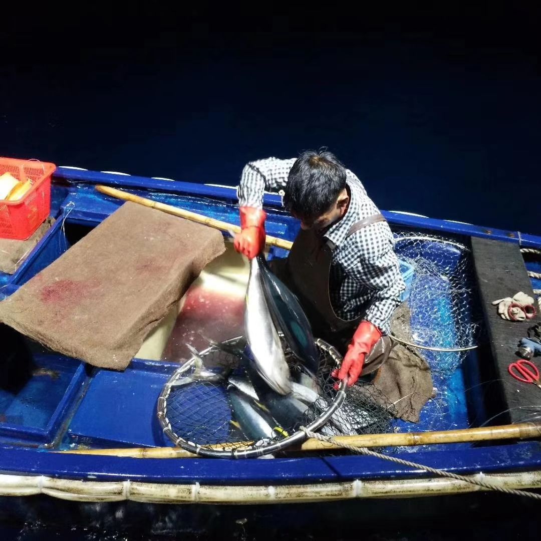 深海海鲜 深海鱼
