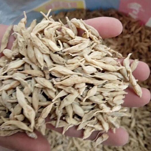 远安县麦冬 远安县张德药材收购部常年销售各种中药材，望有需求客户联系