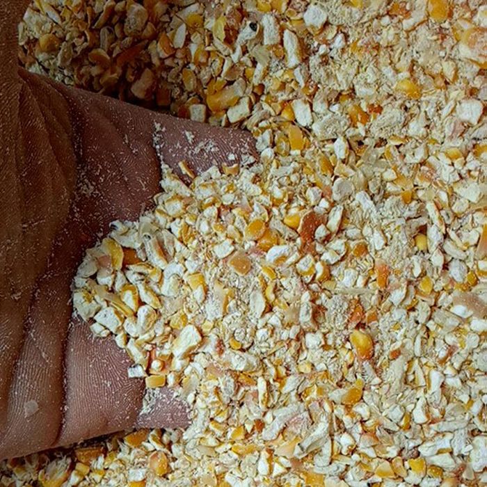 [玉米渣批发] 粗细玉米碎玉米玉米渣糁鸡鸭鹅鸽兔宠物动物饲料钓鱼打窝包邮价格2.65元\/斤 10斤起批